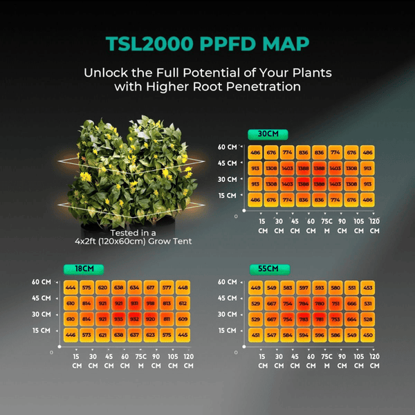 Mars Hydro TSL-2000 Led Bitki Yetiştirme Lambası