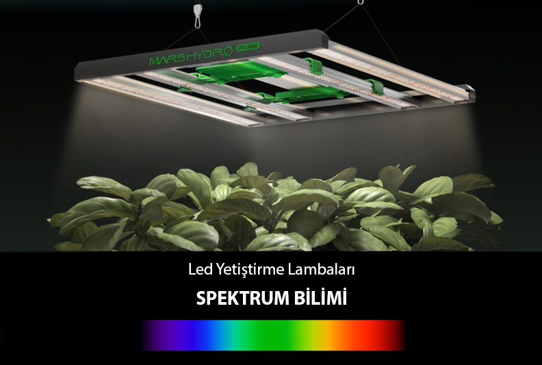 LED Yetiştirme Lambalarında Spektrum Bilimi